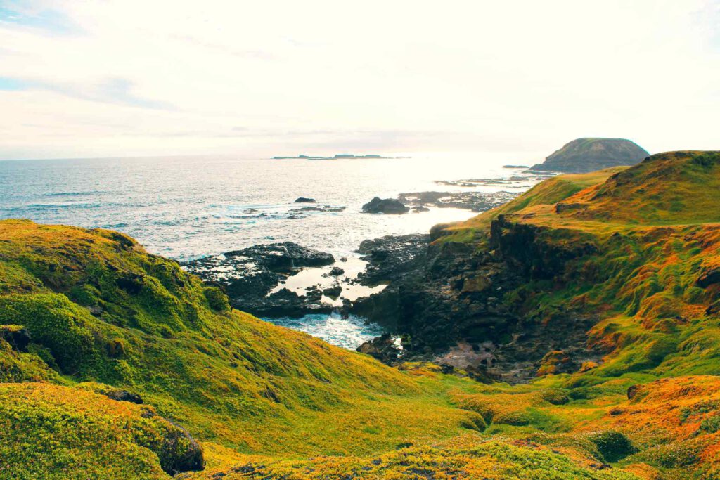 Nobbies Centre - Phillip Island