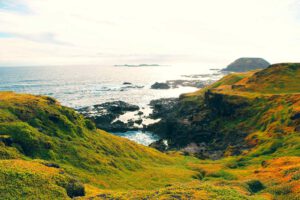 Nobbies Centre - Phillip Island