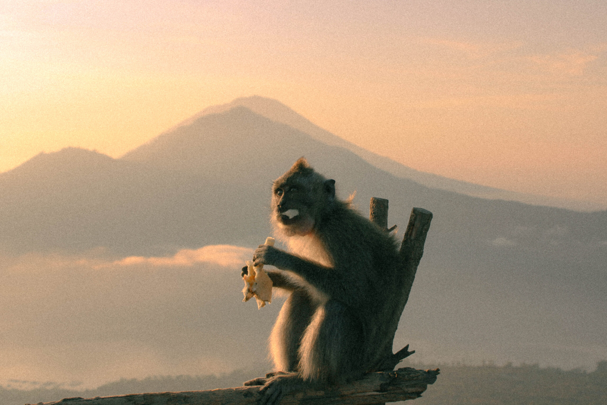 Visiter Bali en 2 semaines