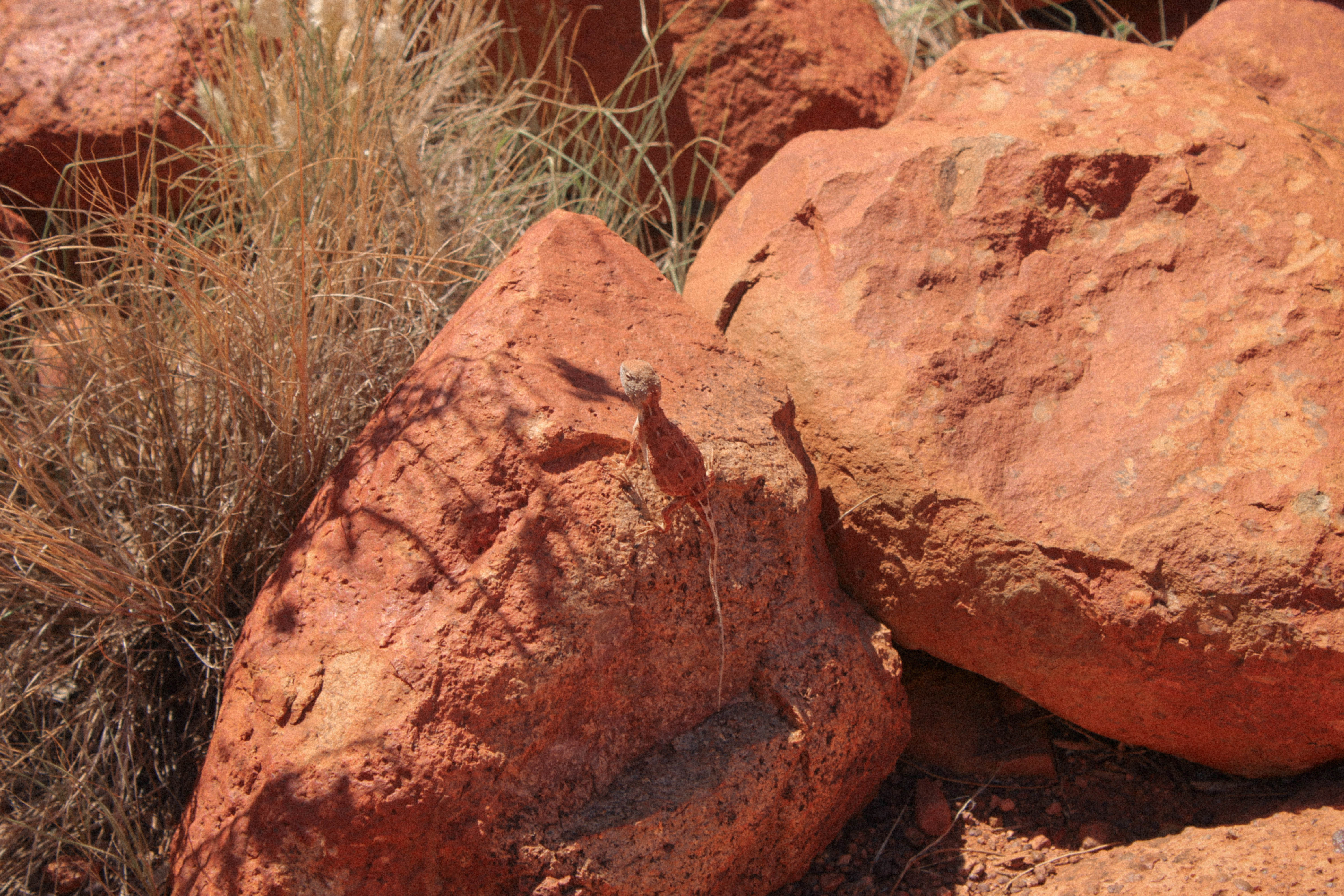 Kings Canyon Australie