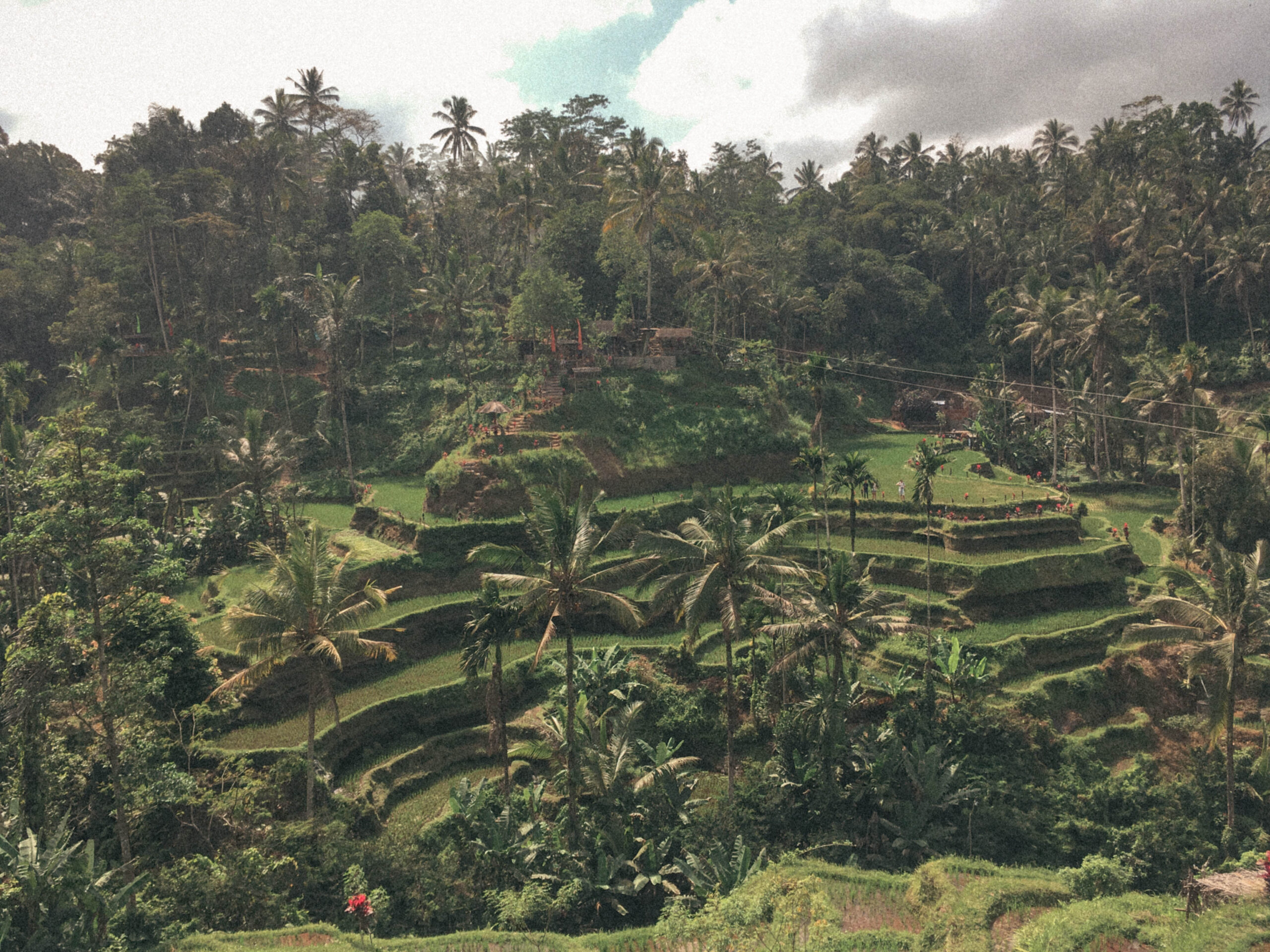 Tegallalang