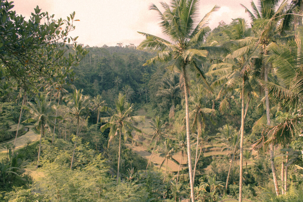 Visiter Bali en 3 semaines